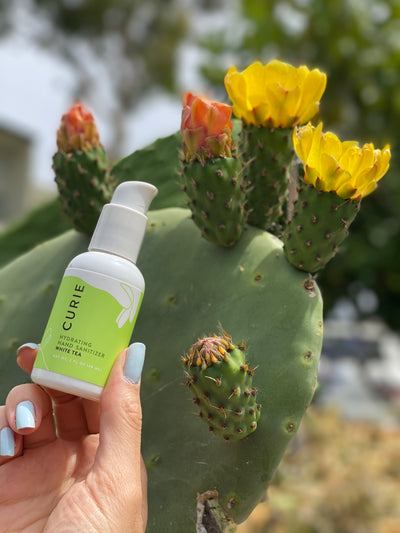 Prickly Pear Seed Oil and why it’s good for your skin