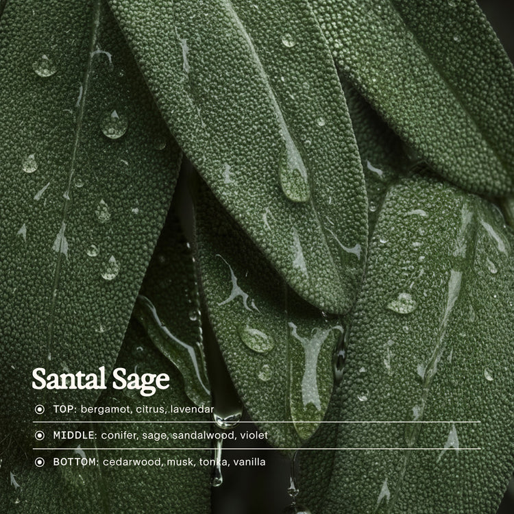 Santal Sage
